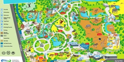 რუკა Auckland zoo